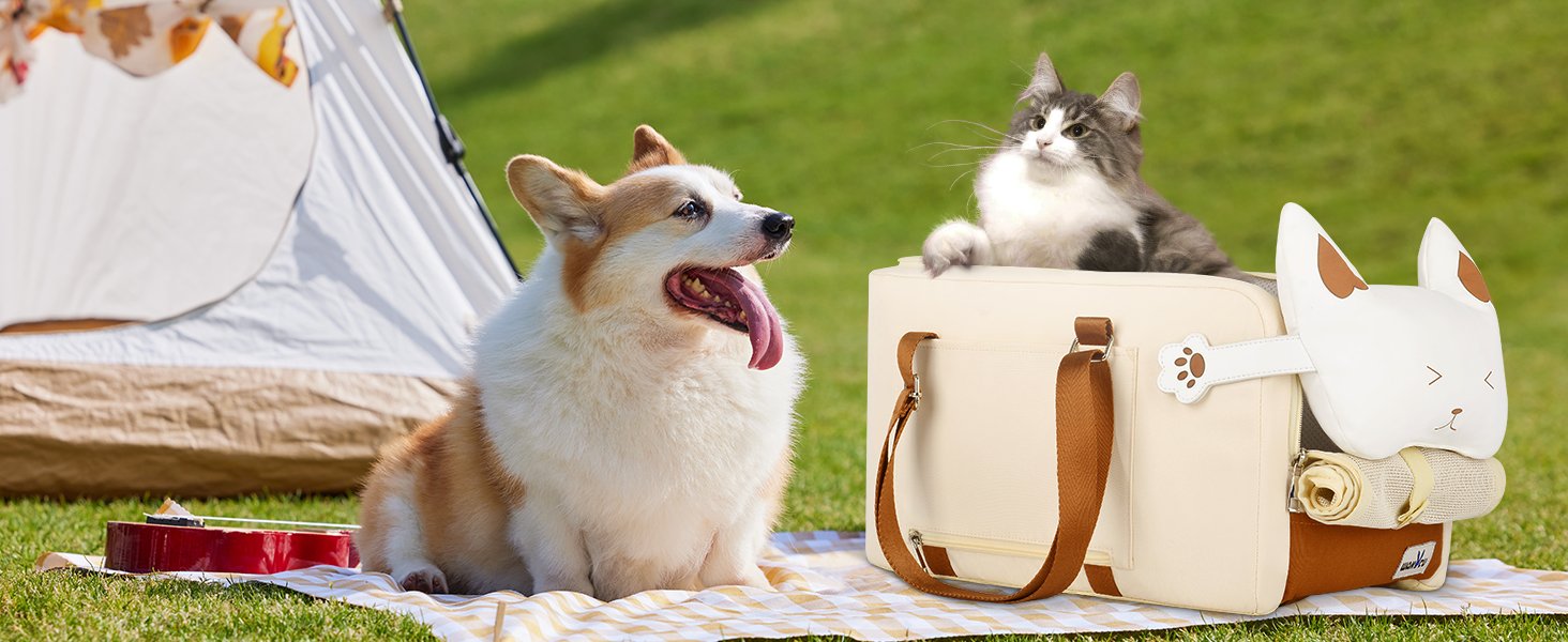 Dog Car Seat