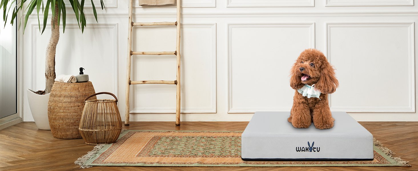 small dog bed