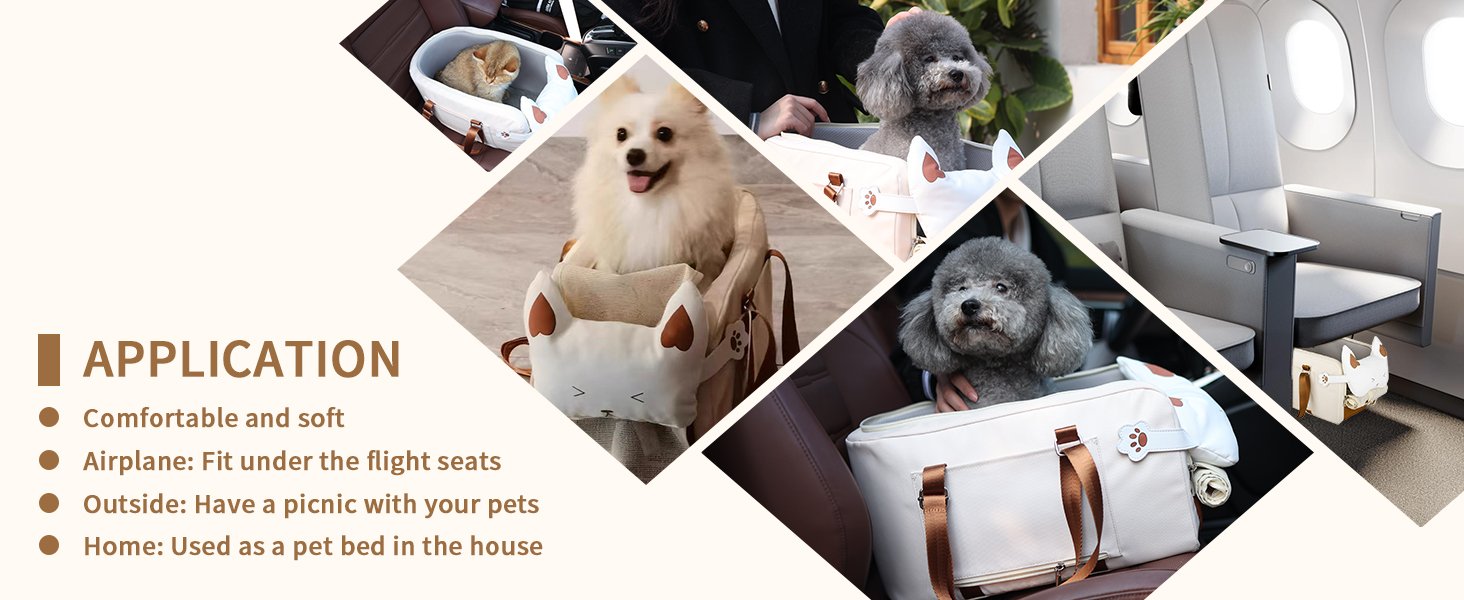 dog car seat