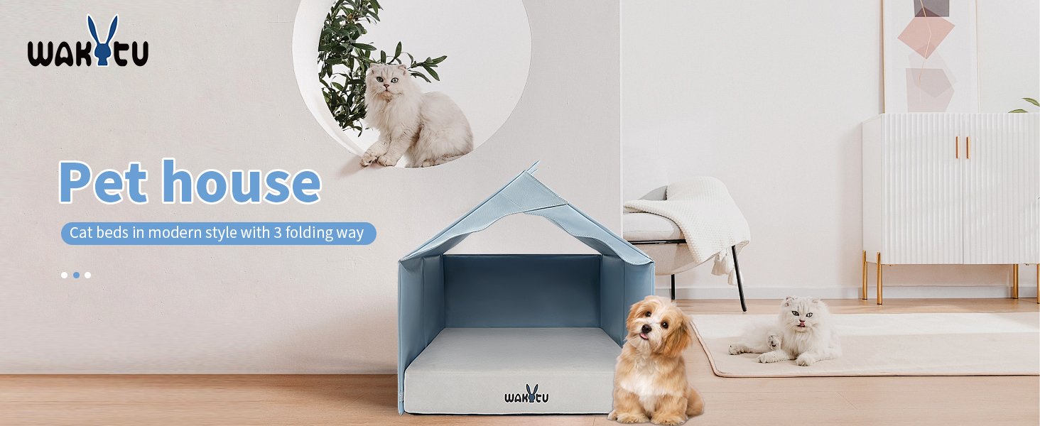 cat bed