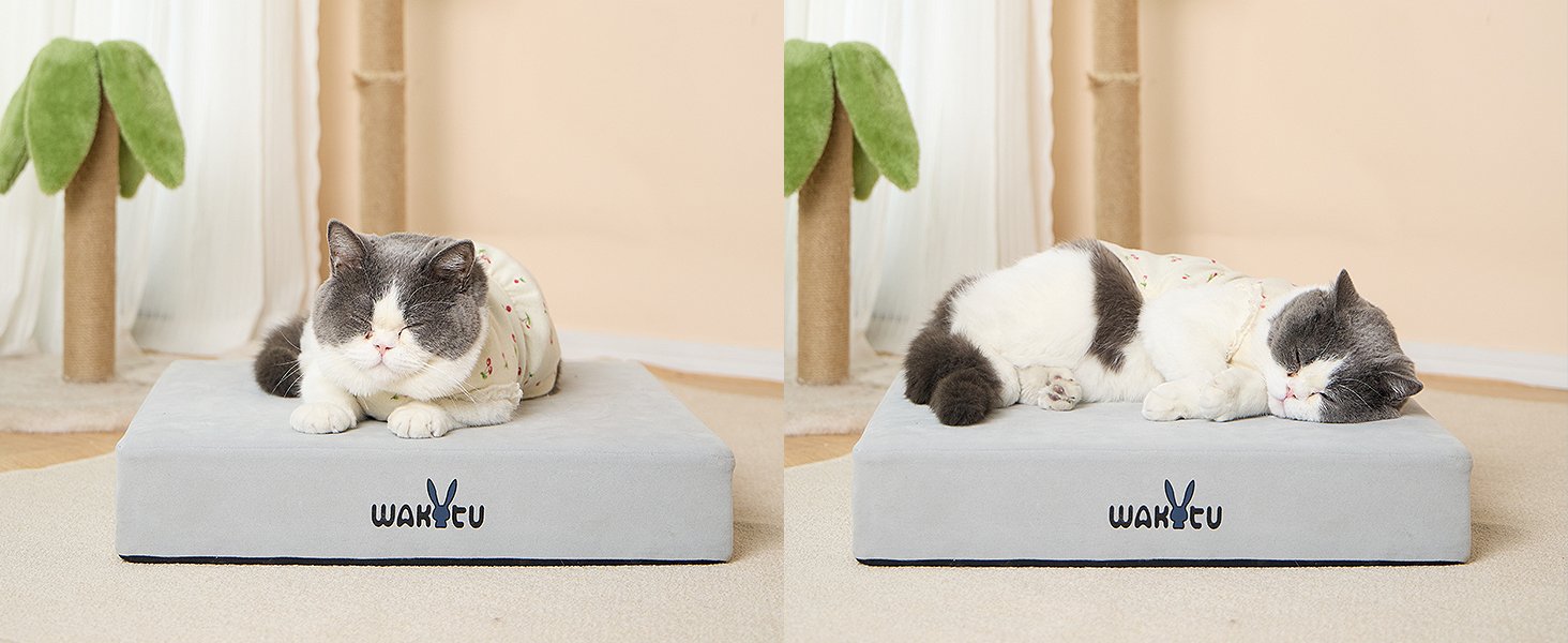 pet bed