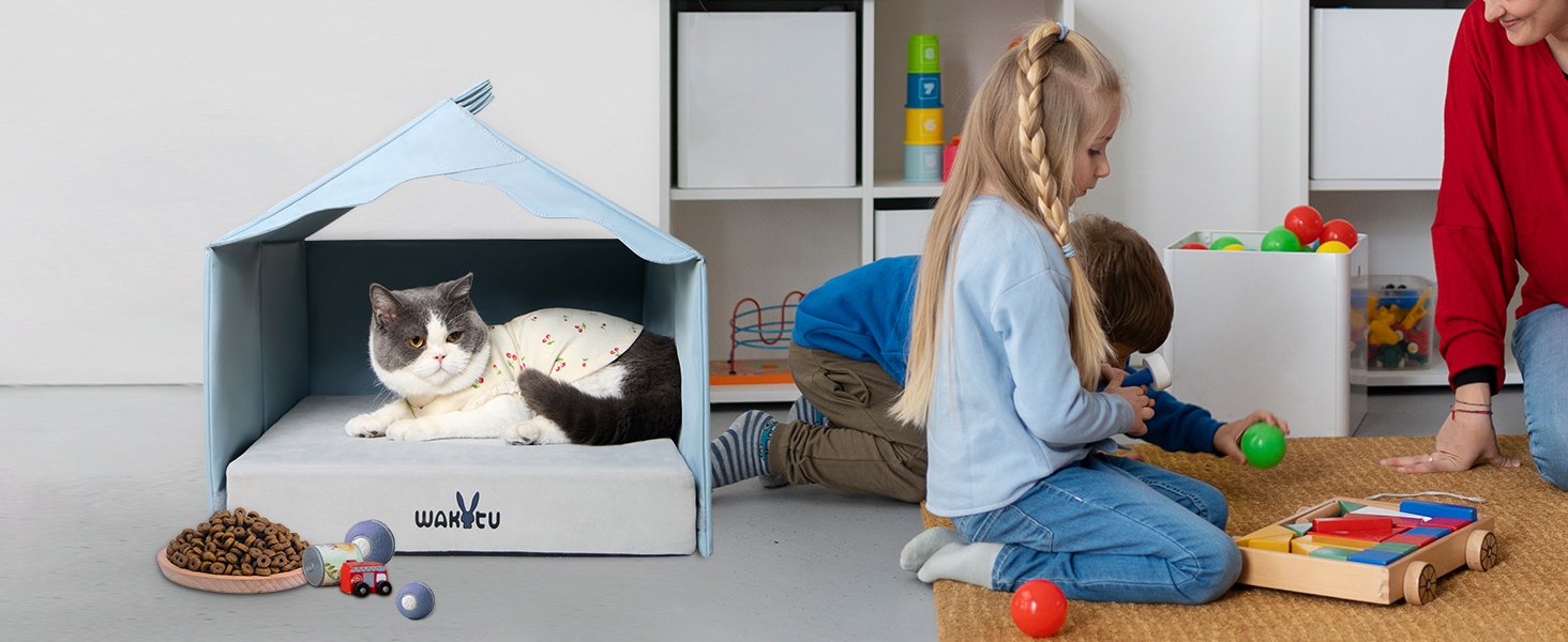 cat bed