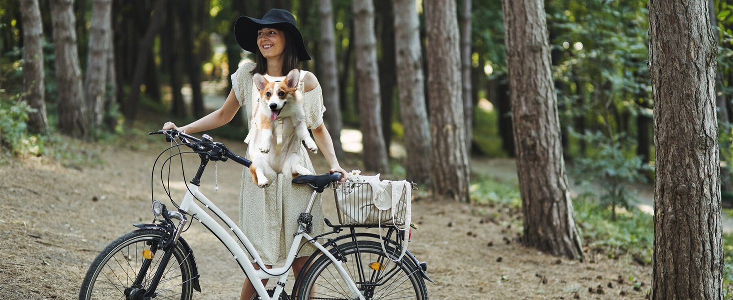 dog backpack