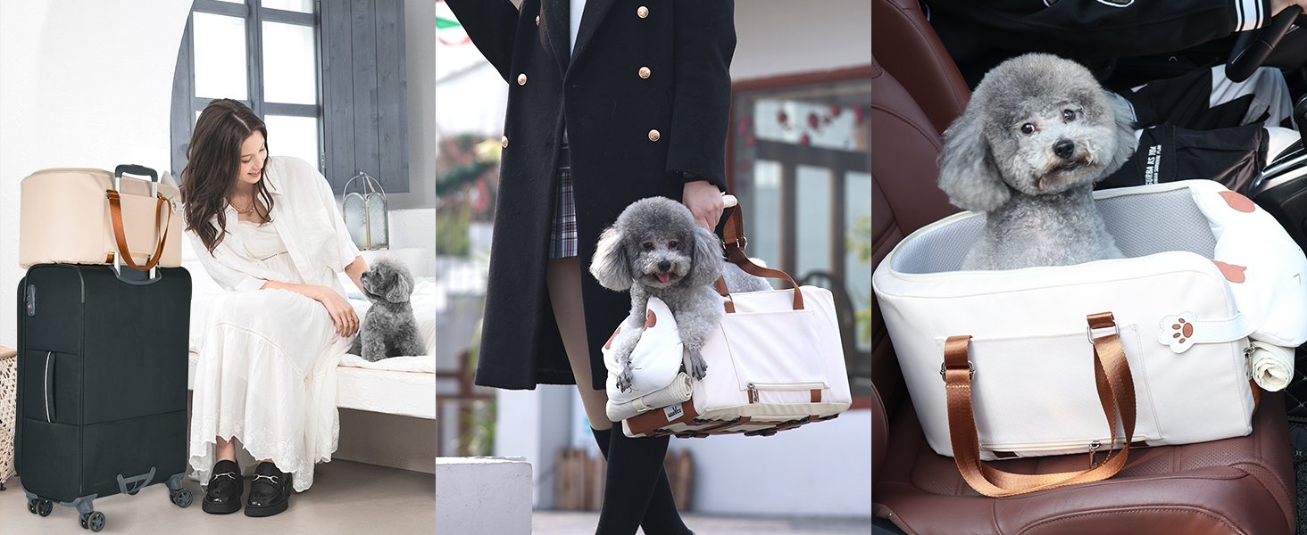 Dog Car Seat