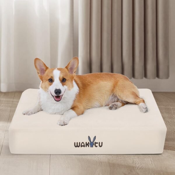 Cat Beds for Indoor Cats -Cat House for Small Cats Or Dogs,Removable Cushion with Collapsible and Foldable Puppy Pet Beds，3 Folding Methods for Indoor Outdoors (Blue) - Image 13