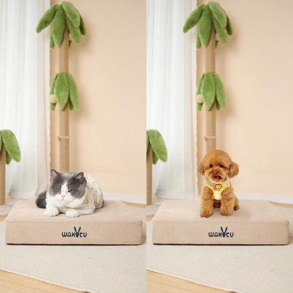 Cat Beds for Indoor Cats -Cat House for Small Cats Or Dogs,Removable Cushion with Collapsible and Foldable Puppy Pet Beds，3 Folding Methods for Indoor Outdoors (Blue) - Image 10